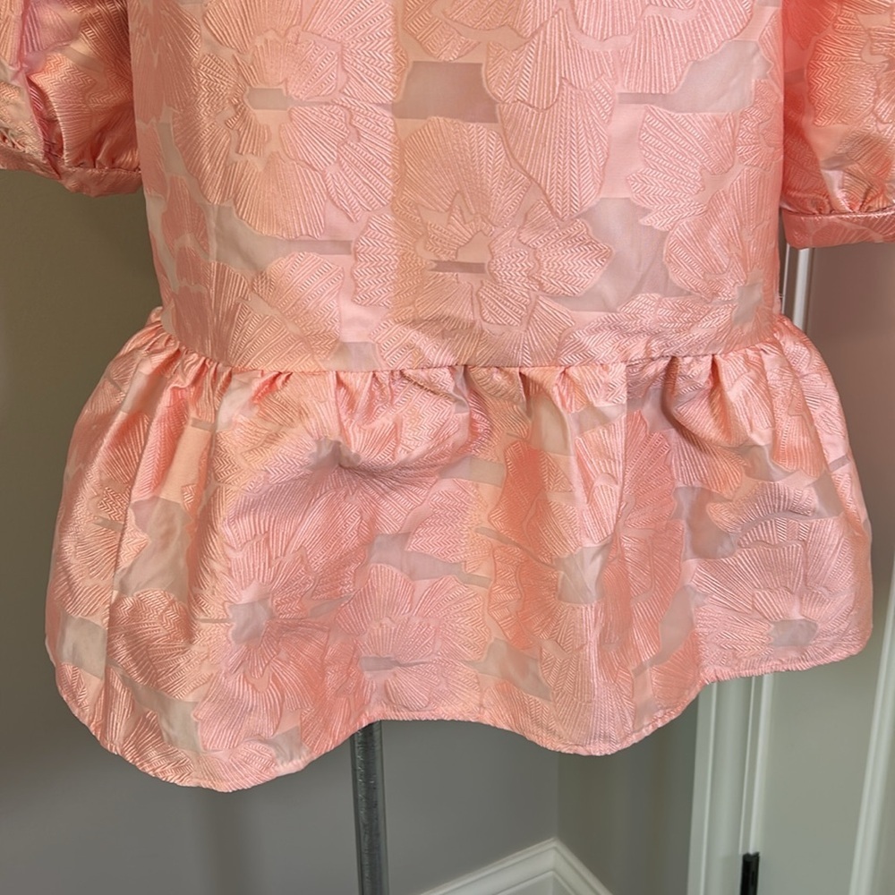 TUCKERNUCK Bellini Fil Coupe Palmerston Peach Pockets Mini Stand Collar Sz L NEW - Picture 11 of 16
